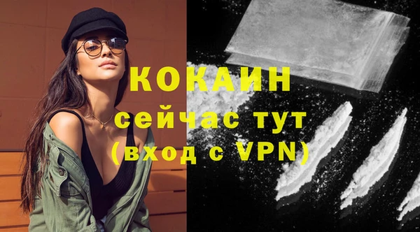 МДПВ Мегион