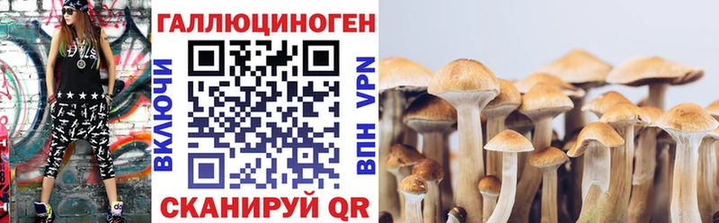 магазин    Ханты-Мансийск  Псилоцибиновые грибы GOLDEN TEACHER 